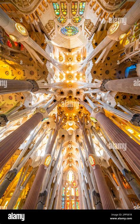 architekt der sagrada familia